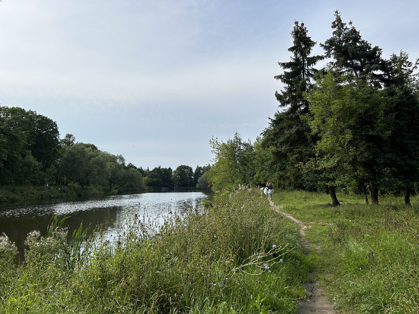 акция, вода России, Фрязино, пруд