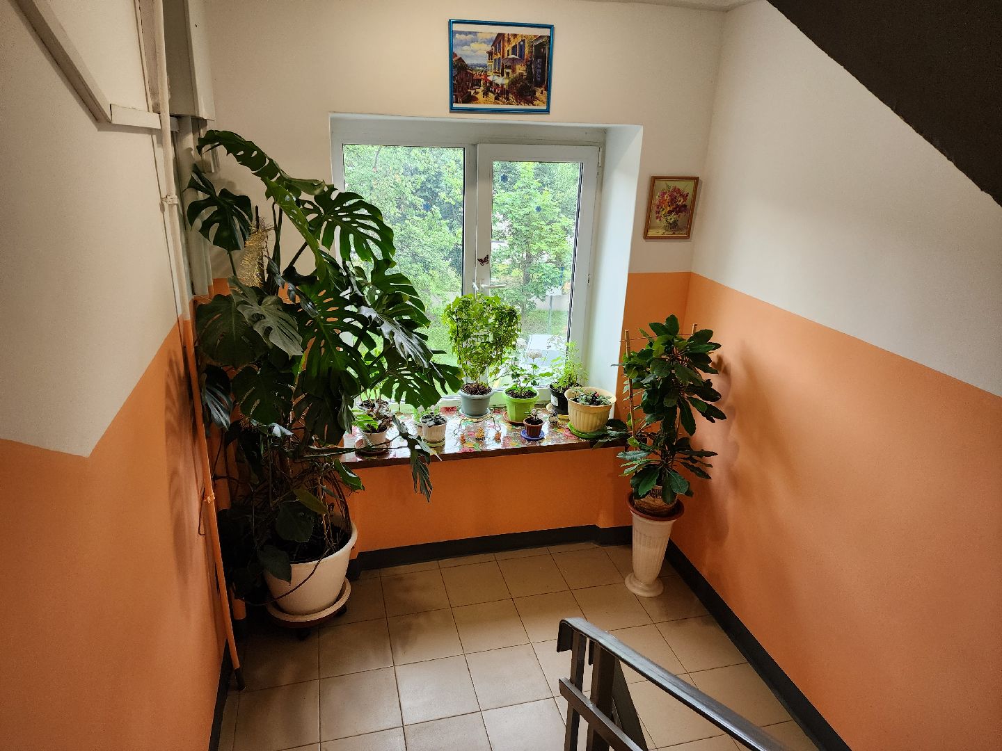 Раменское, ЖКХ, ремонт подъездов, жильцы многоквартирного дома оформили общедомовое пространство