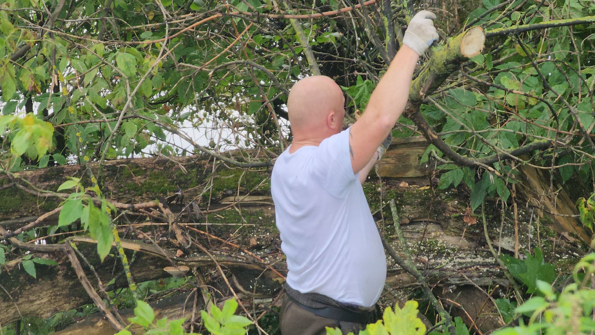 Пушкино, Благоустройство, жкх, общество