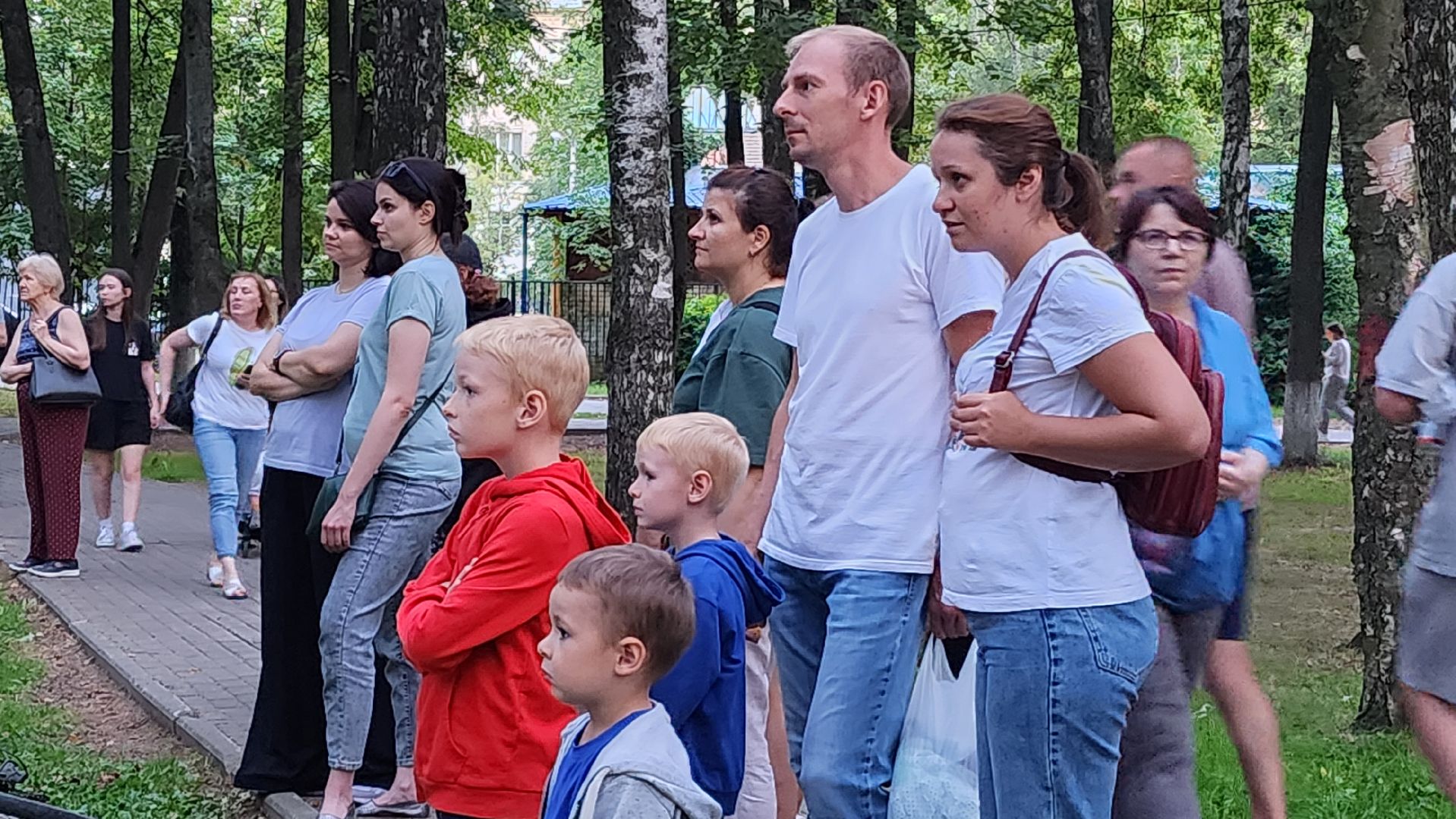 кино, парки подмосковья,