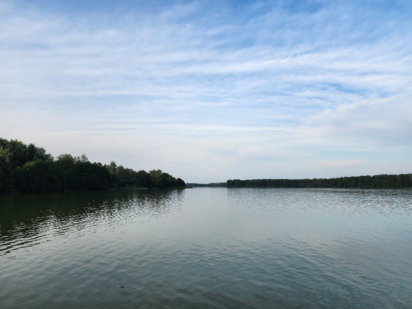 Озеро, ВОСВОД, спасатели, Бисерово, Богородский городской округ