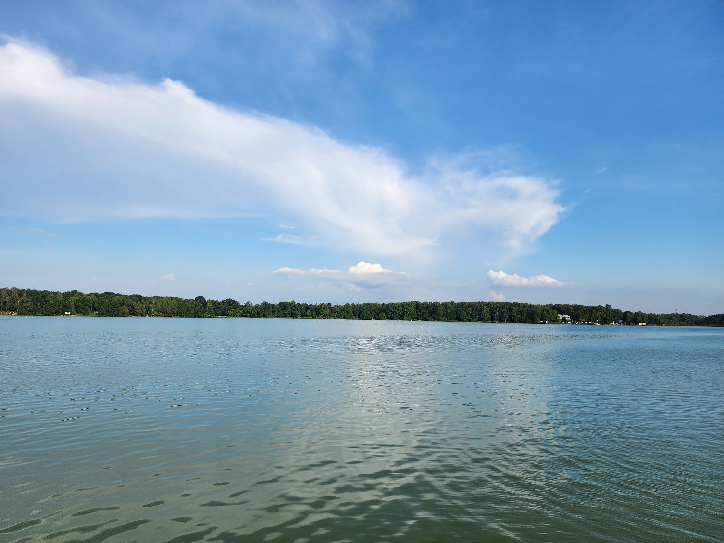 Озеро, ВОСВОД, спасатели, Бисерово, Богородский городской округ