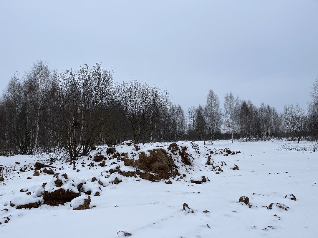 Экология, благоустройство, природа, министерство экологии, мвд, Росприроднадзор, Чапаевка