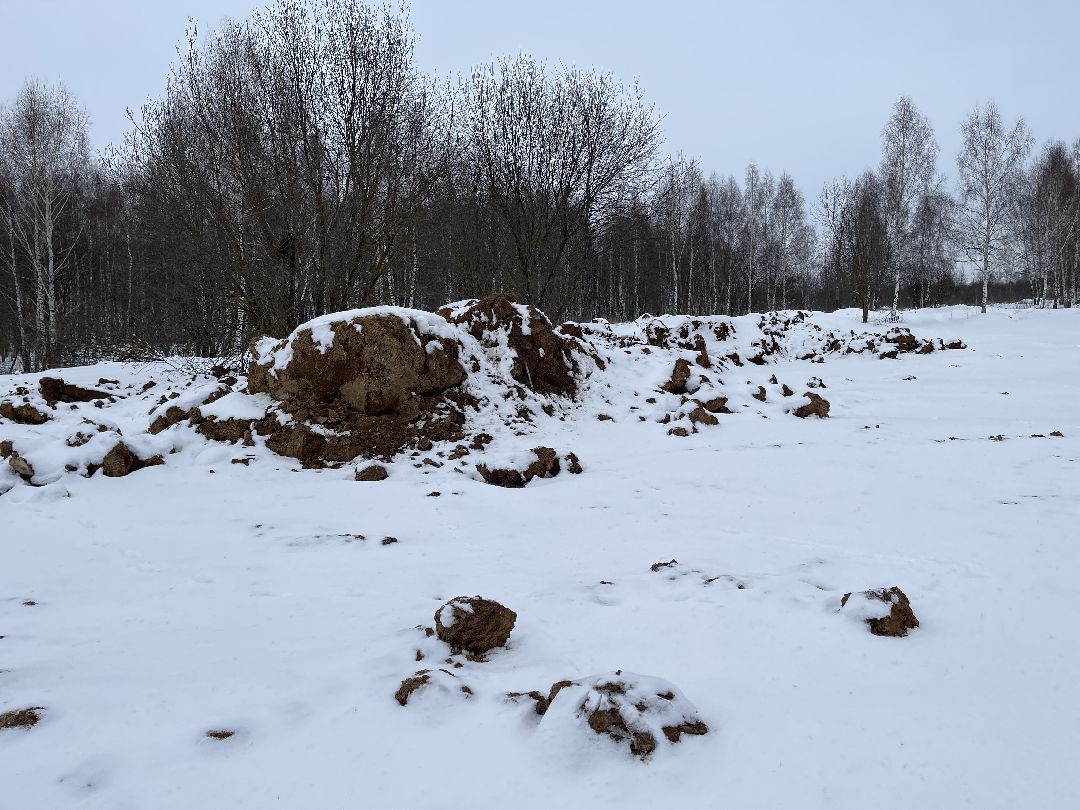 Экология, благоустройство, природа, министерство экологии, мвд, Росприроднадзор, Чапаевка