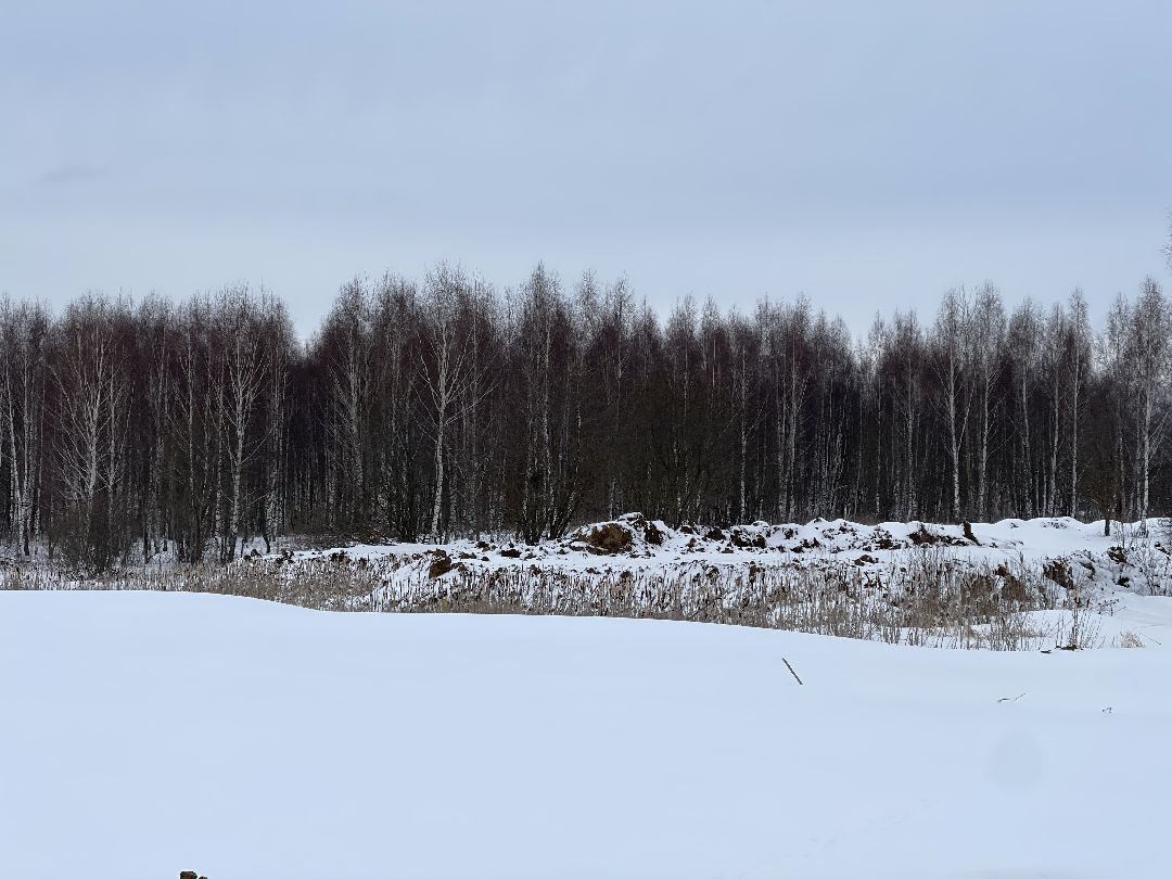 Экология, благоустройство, природа, министерство экологии, мвд, Росприроднадзор, Чапаевка
