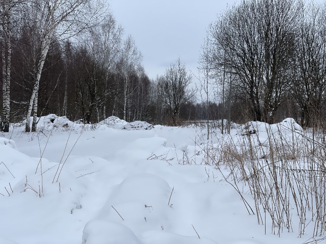 Экология, благоустройство, природа, министерство экологии, мвд, Росприроднадзор, Чапаевка