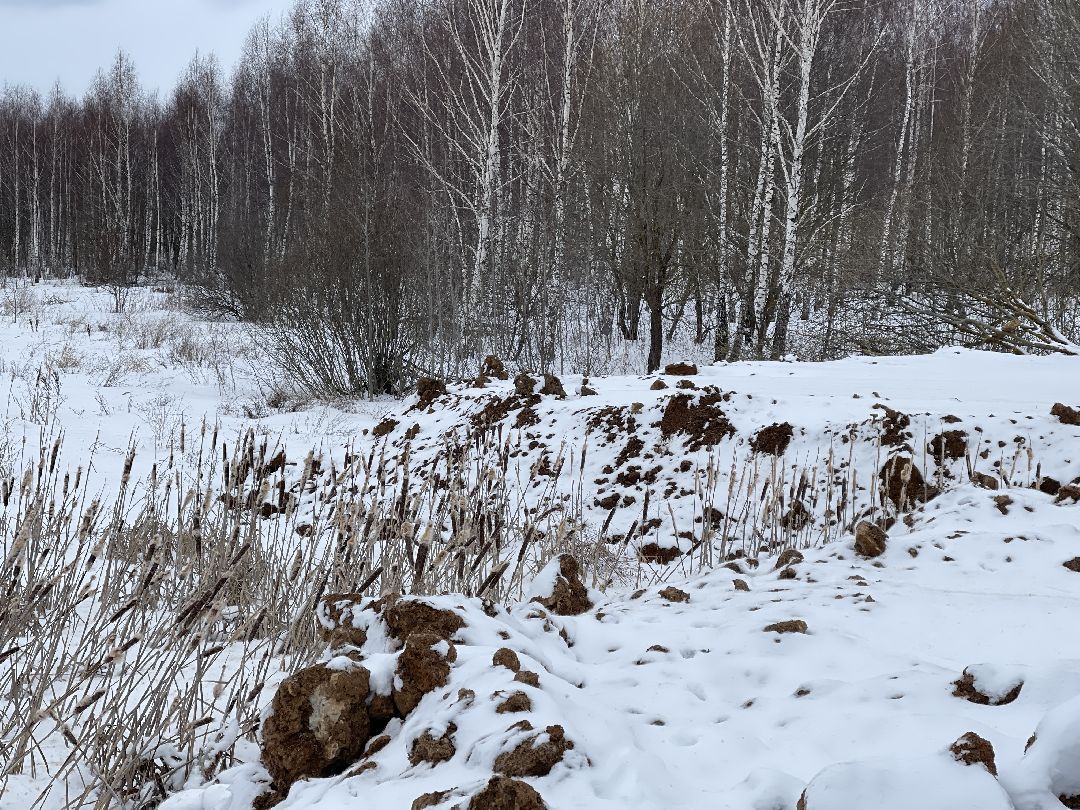 Экология, благоустройство, природа, министерство экологии, мвд, Росприроднадзор, Чапаевка