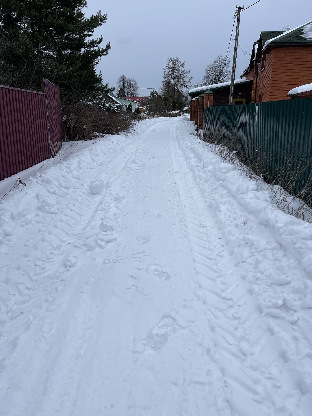 Экология, благоустройство, природа, министерство экологии, мвд, Росприроднадзор, Чапаевка