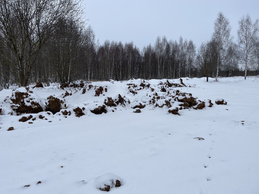 Экология, благоустройство, природа, министерство экологии, мвд, Росприроднадзор, Чапаевка