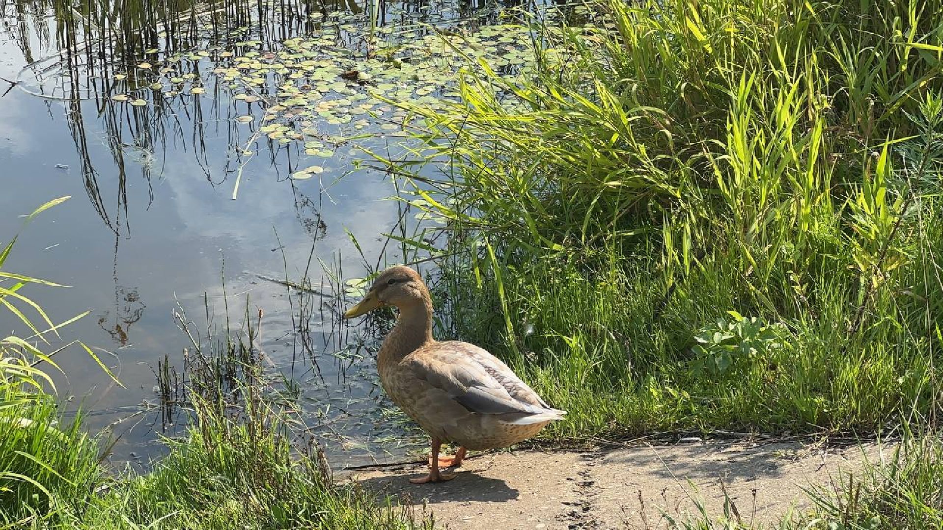 Можайск, Можайский городской округ, Подмосковье, Вода России, акция, волонтёры, субботник, уборка, берег, река, активисты
