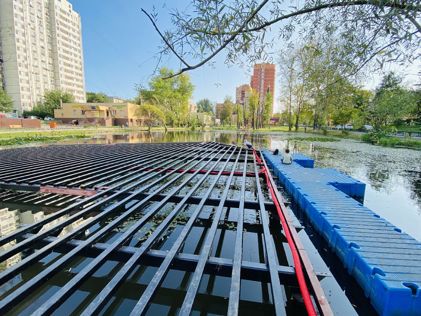 Балашиха, пруд Керосинка, покорми уток