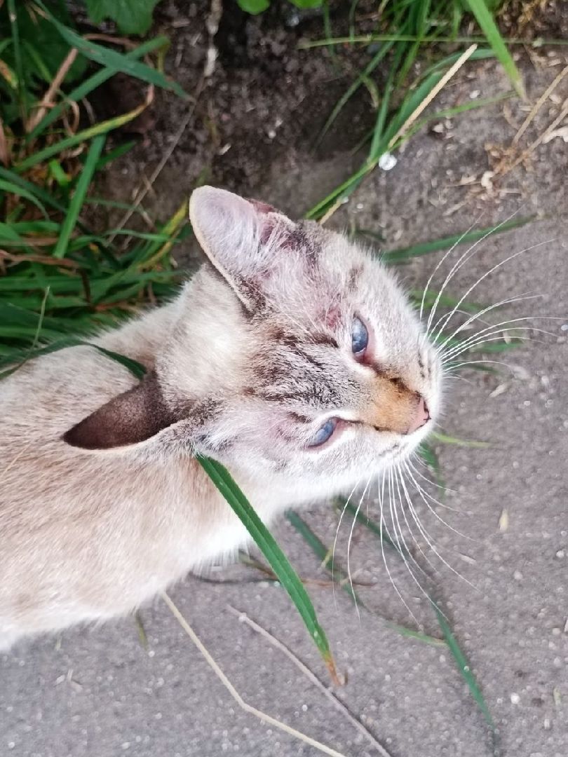 Можайск, Можайский городской округ, Подмосковье, проблема, решение, ЖКХ, канализация, глава, встреча, жители, открытая власть