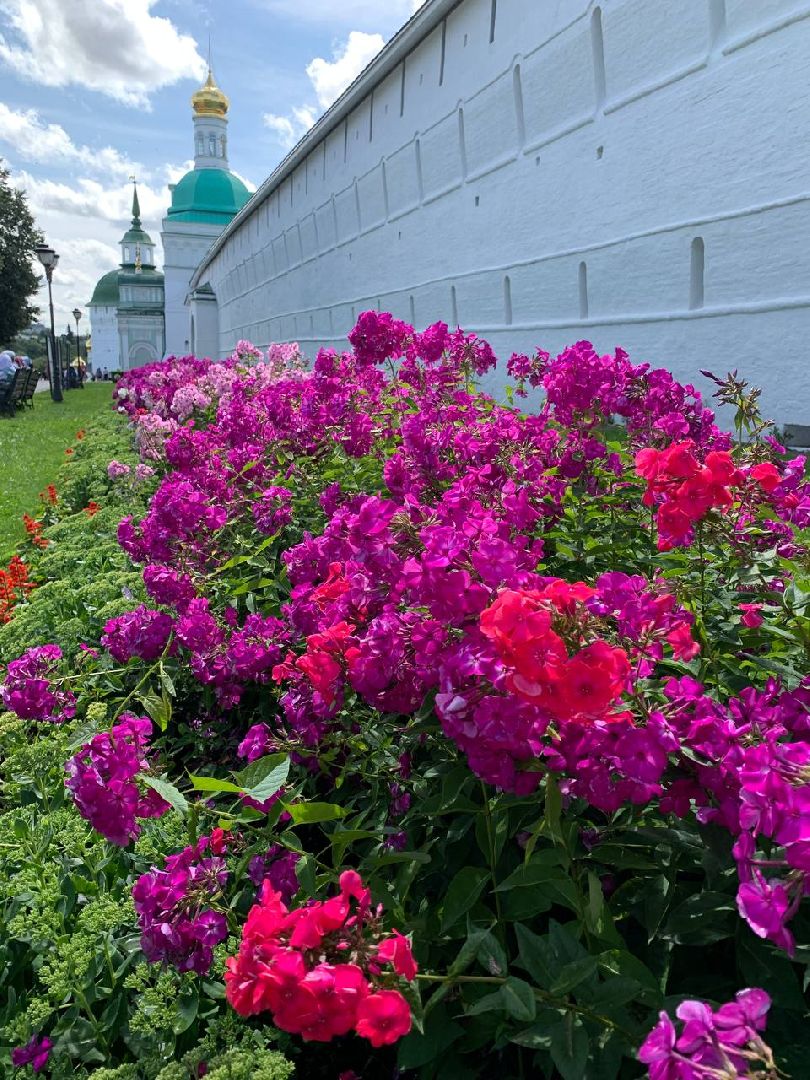 Звенигород, медицина, как избежать последствий укуса ос