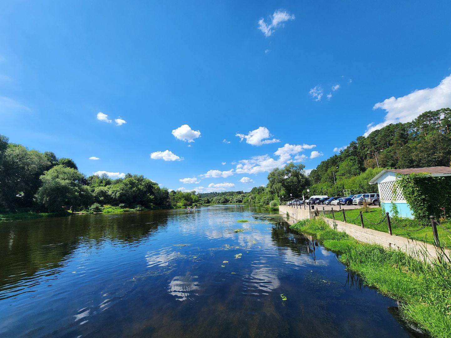 Звенигород, медицина, как избежать последствий укуса ос