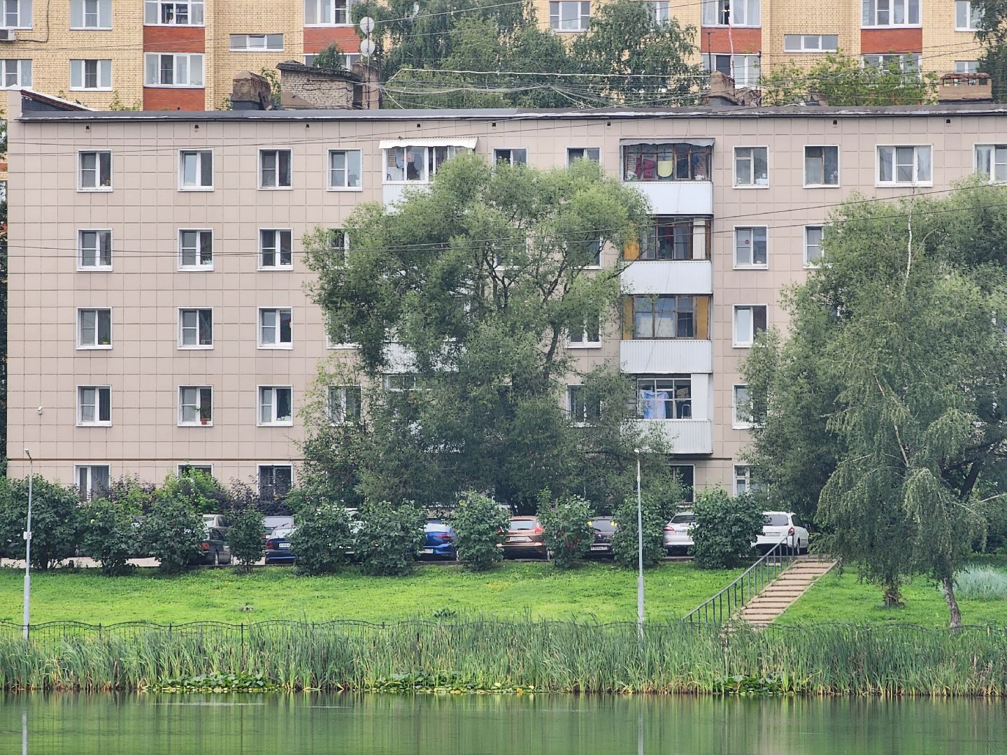 озеро, пушкино, цветы,