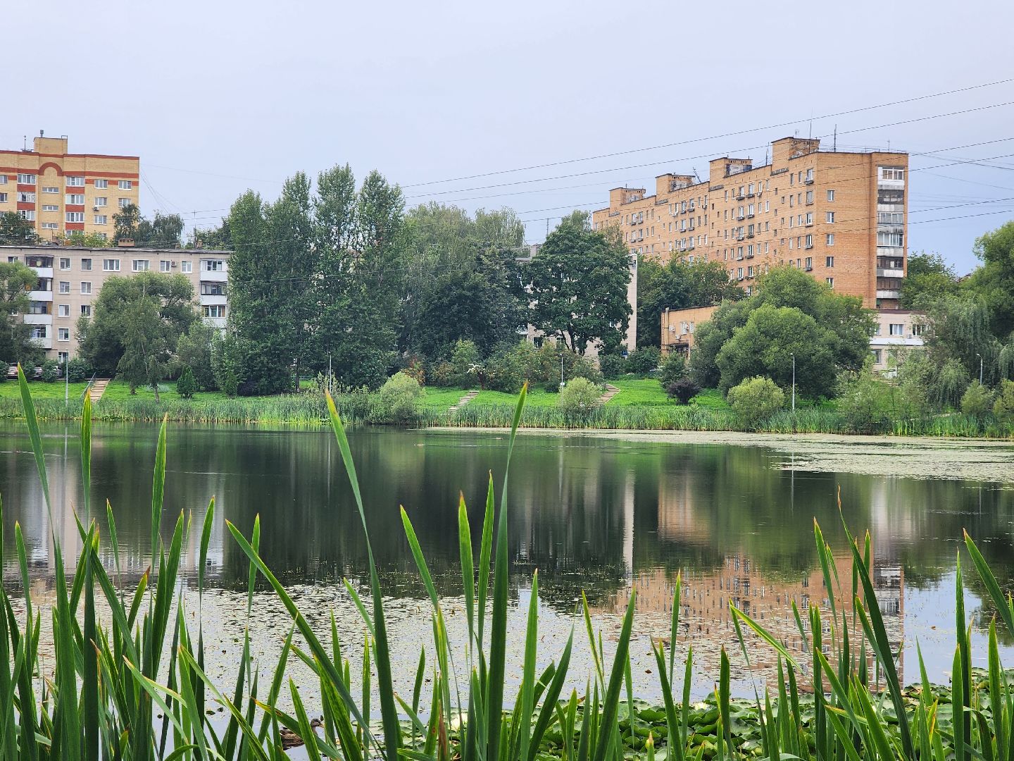 озеро, пушкино, цветы,