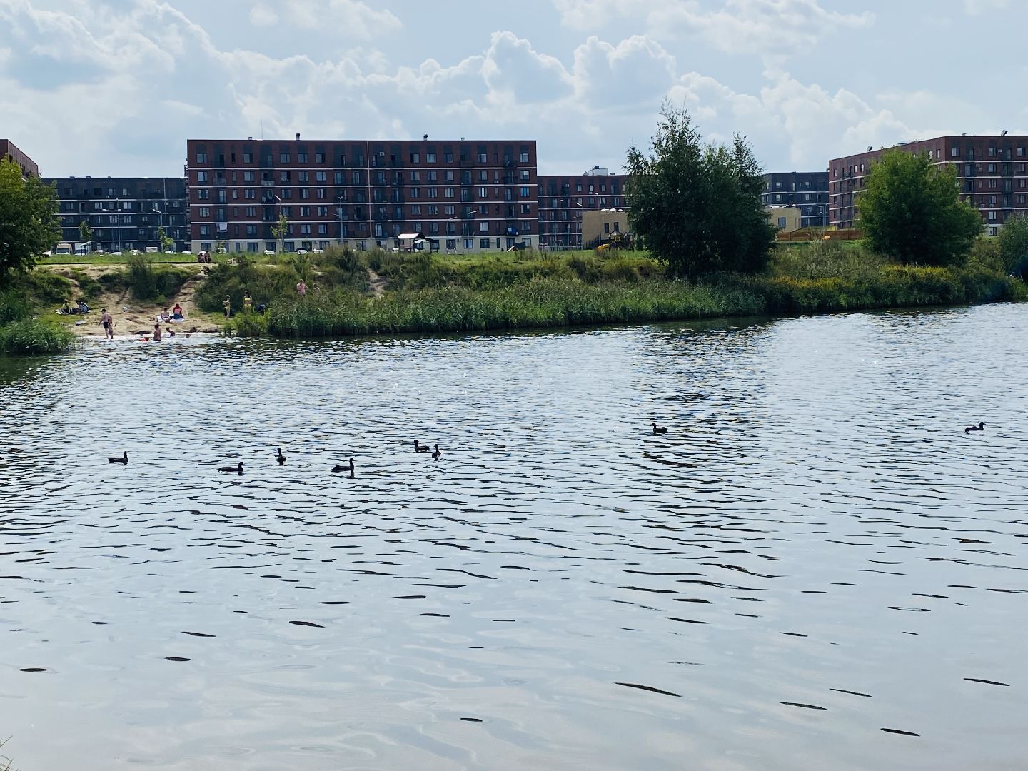 Балашиха, Малый Саввинский пруд, купальный сезон, лето прощай