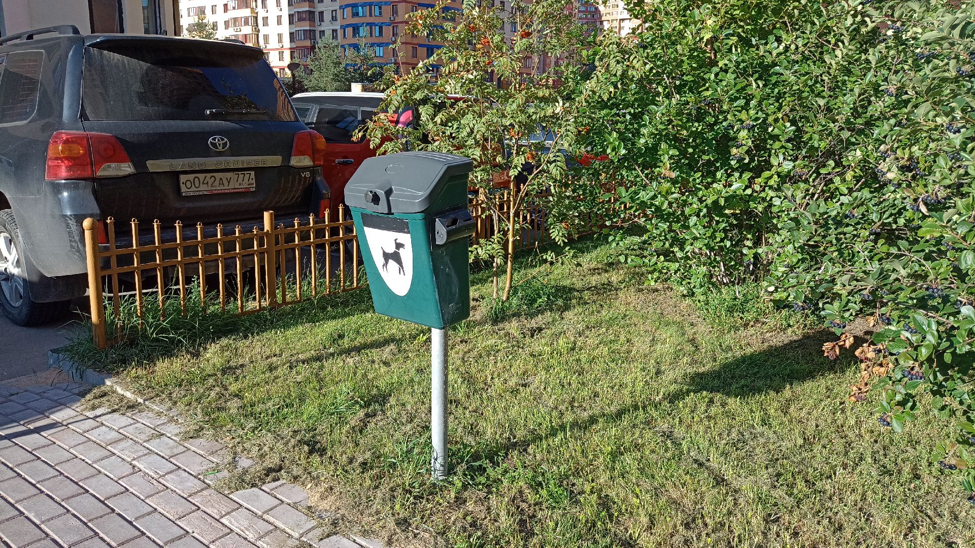 Реутов, собаки, догбоксы, чистота