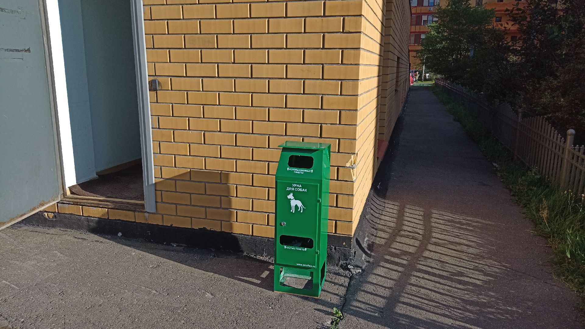 Реутов, собаки, догбоксы, чистота
