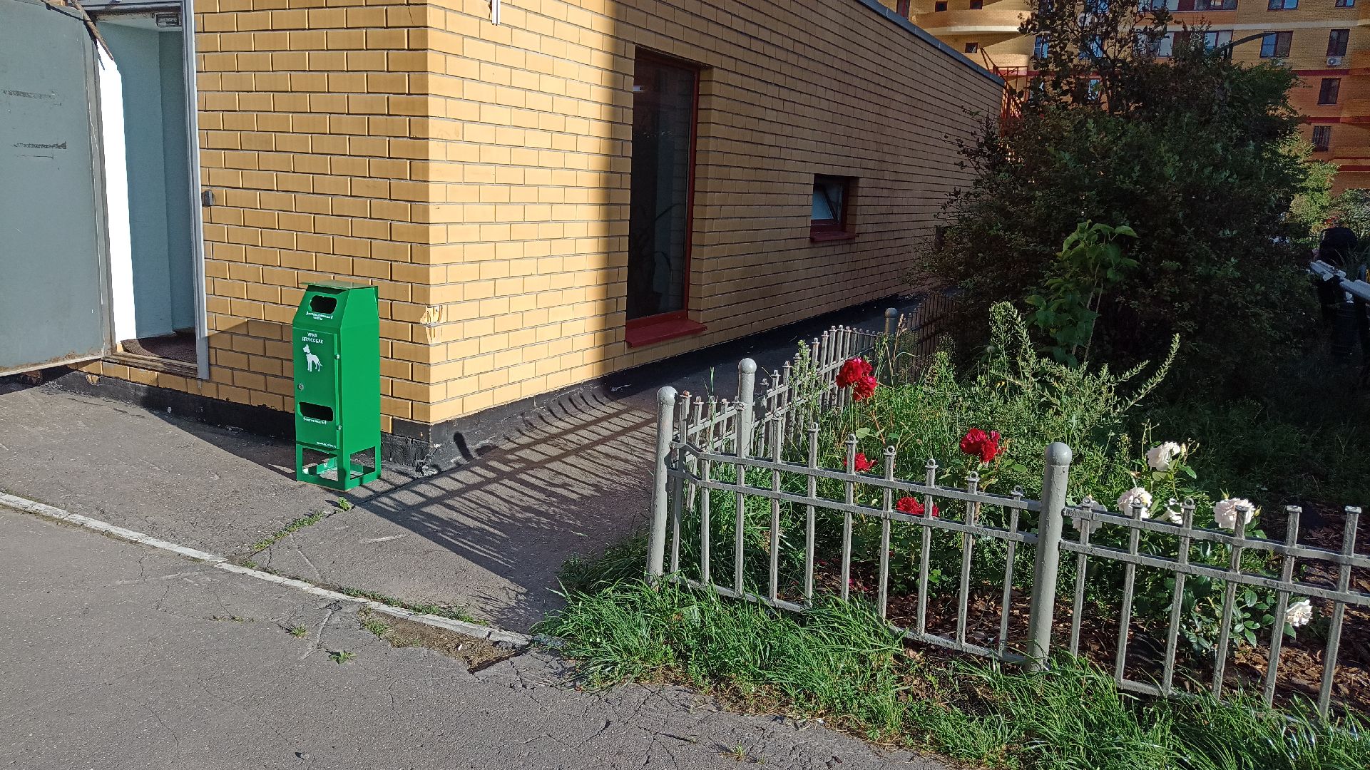 Реутов, собаки, догбоксы, чистота