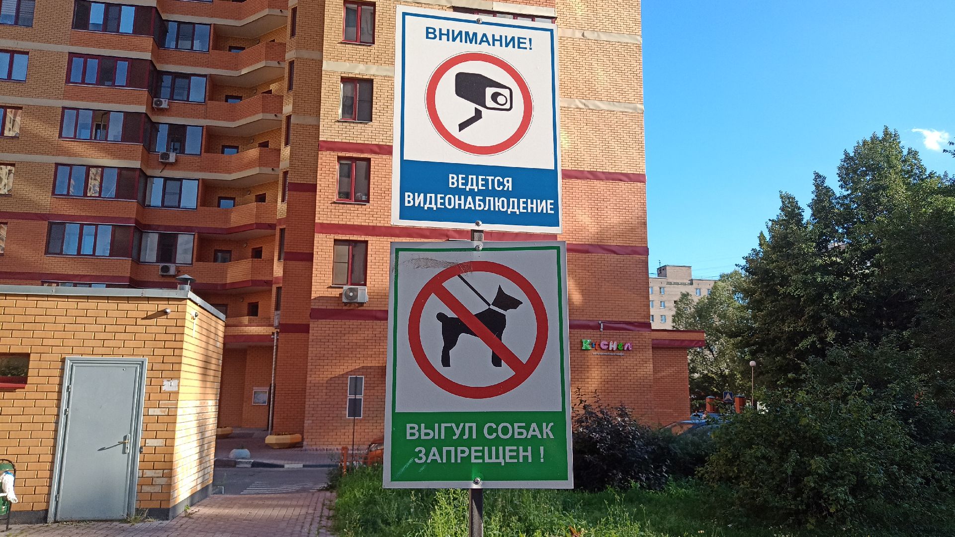 Реутов, собаки, догбоксы, чистота