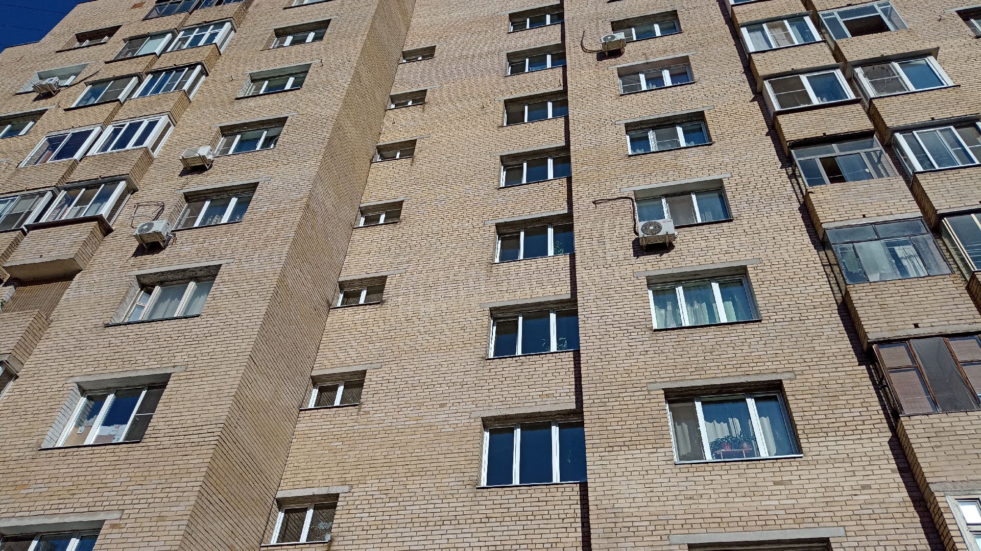 Реутов, собаки, догбоксы, чистота