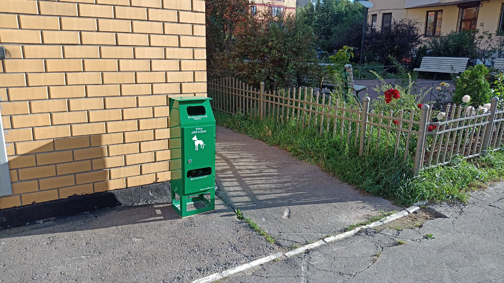 Реутов, собаки, догбоксы, чистота