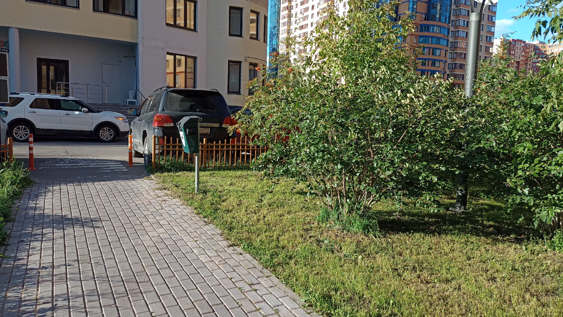 Реутов, собаки, догбоксы, чистота