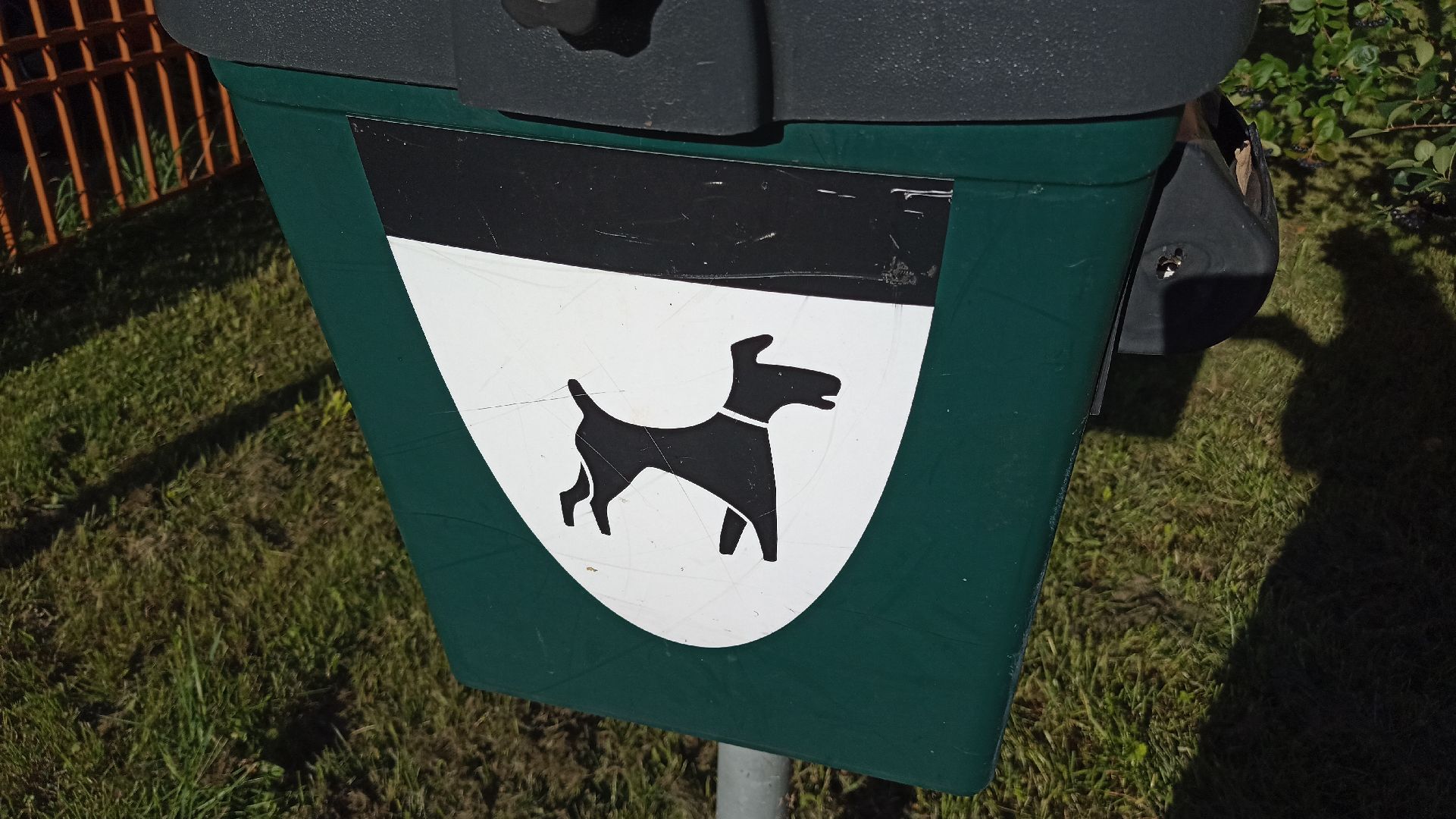 Реутов, собаки, догбоксы, чистота