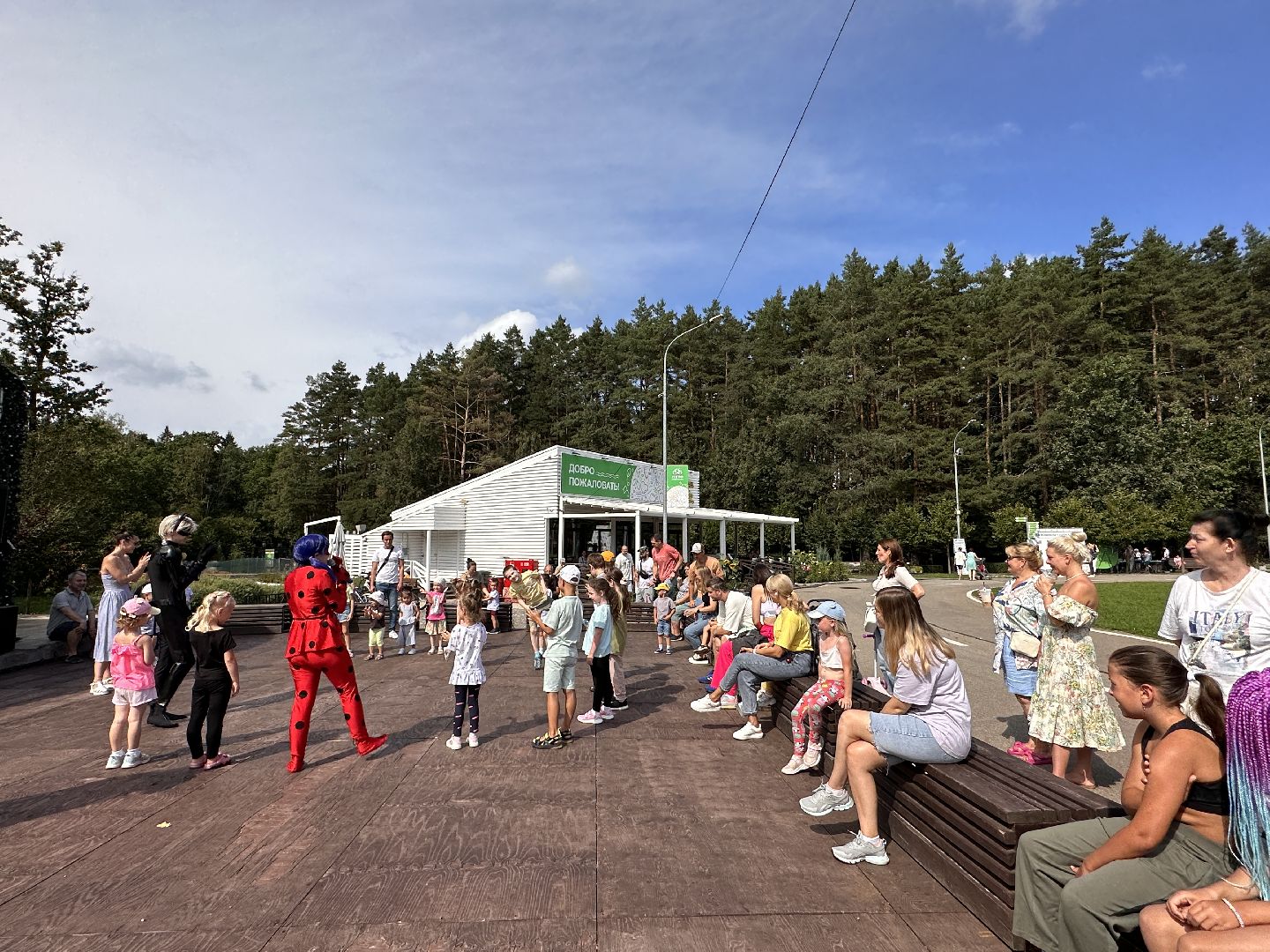 Одинцово, Парки Подмосковья, Фестиваль Увлечений, Арт Поляна