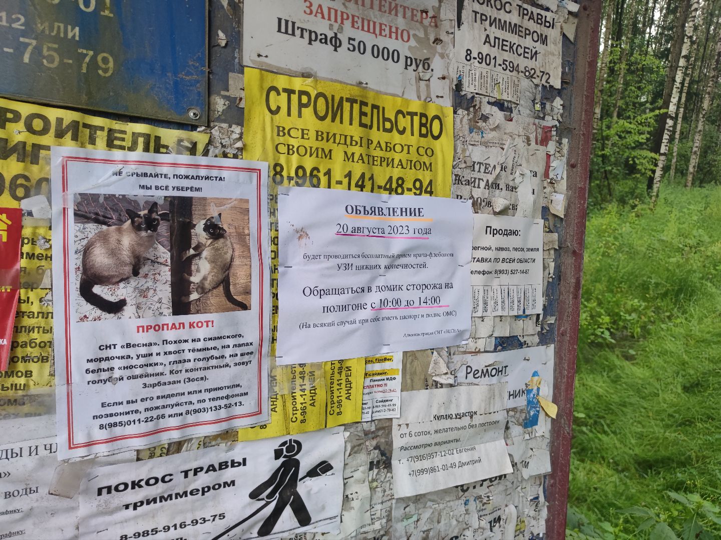 Прием, доктор, флеболог, фбуз мсч №9 фмба россии, Дубна