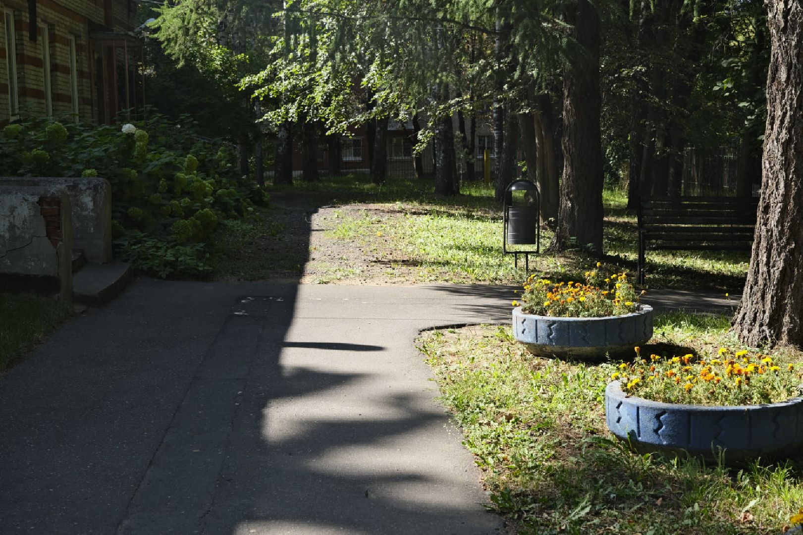 Пущино, образование