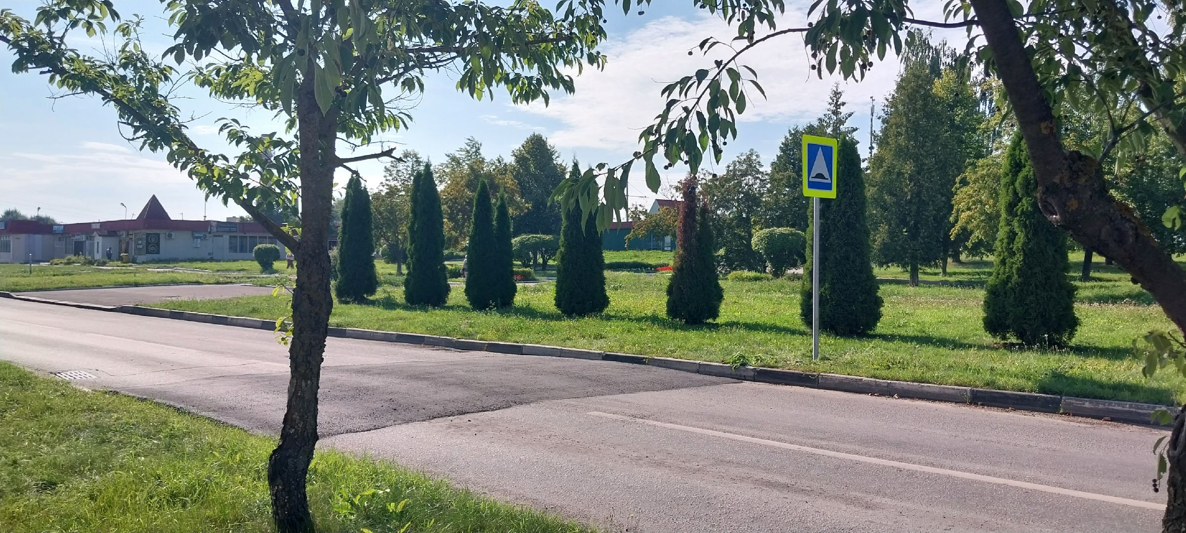 Коломна, дороги, лежачие полицейские