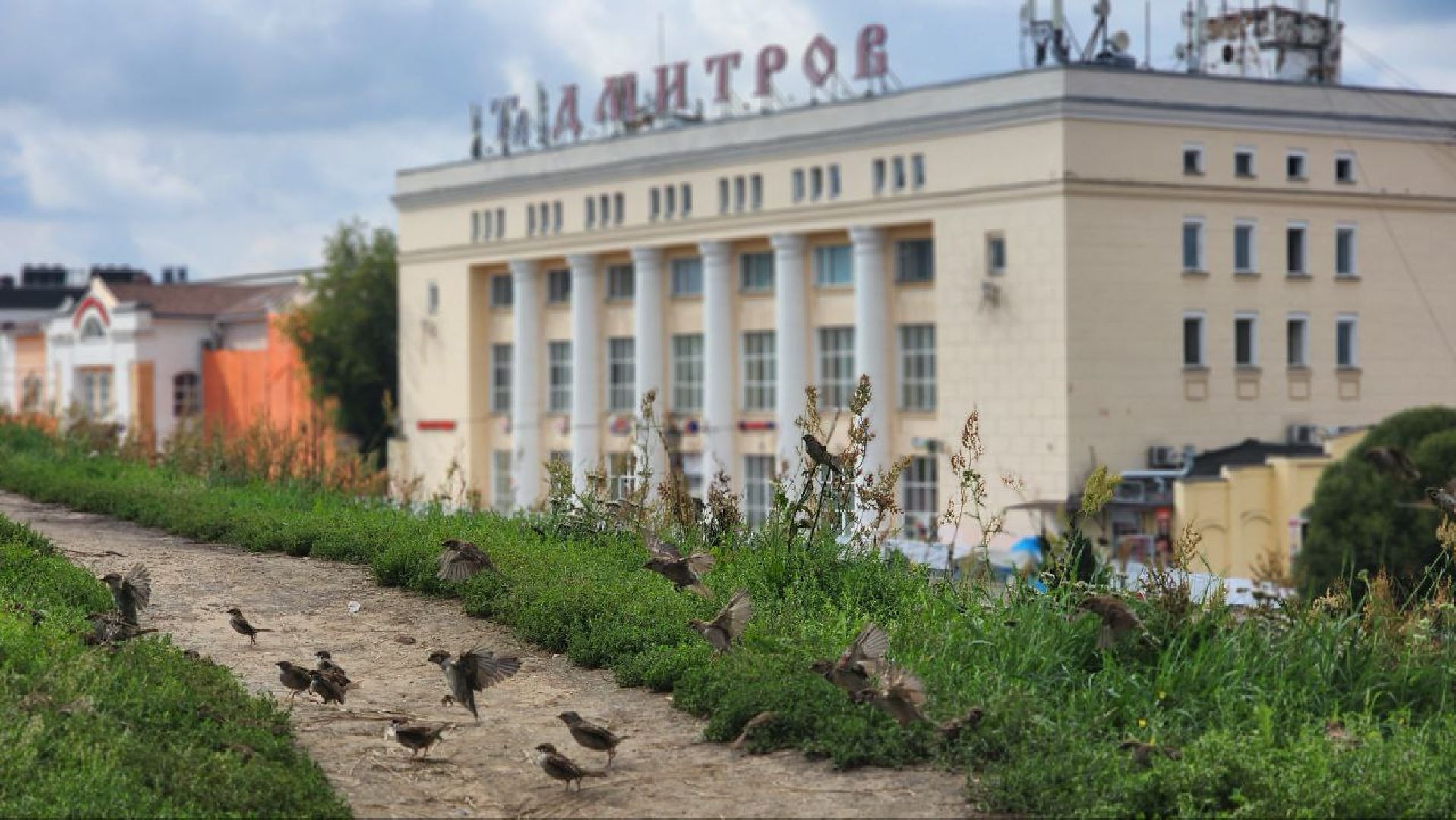 Дмитров, Советская площадь, Минблаго