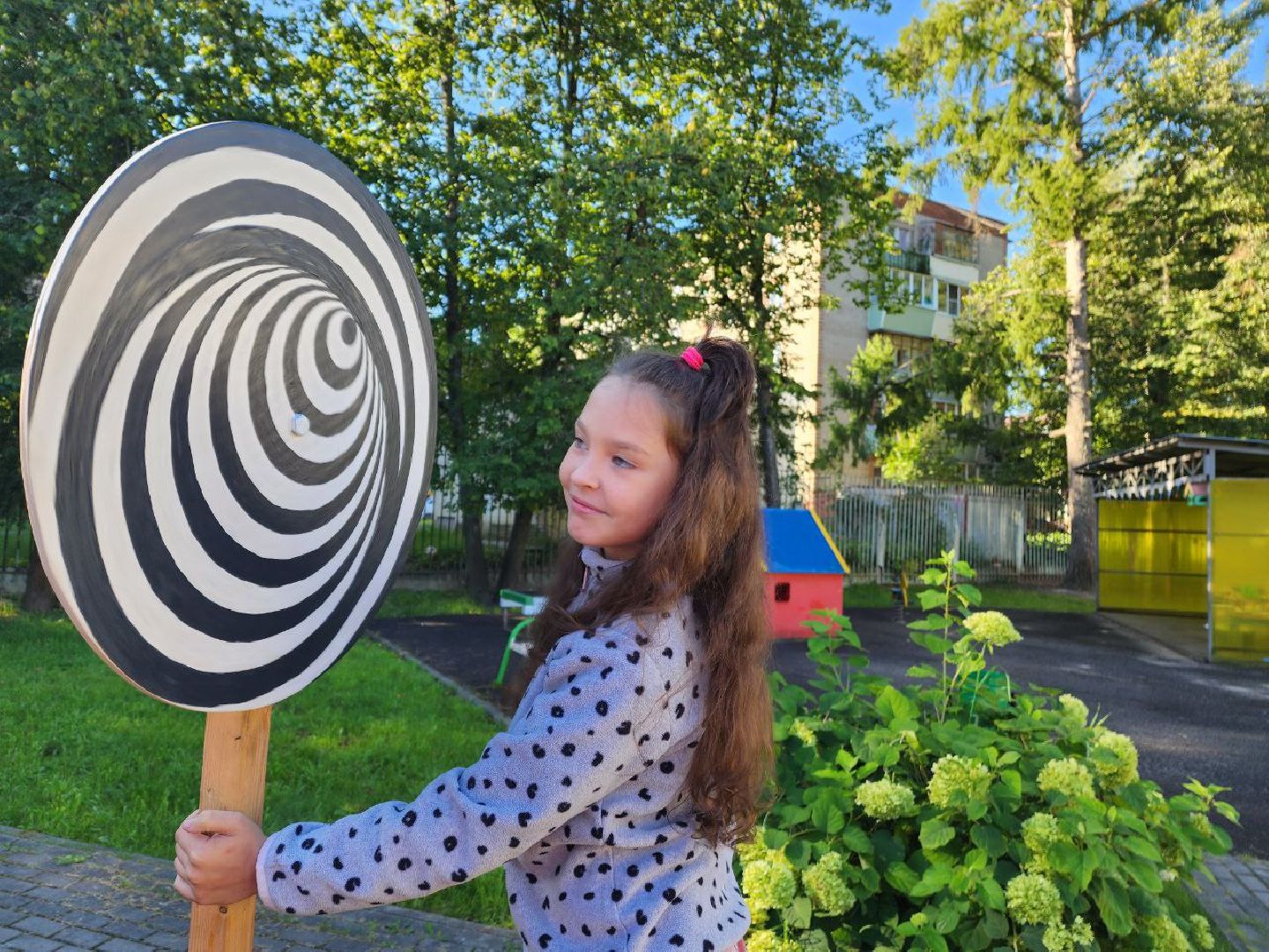 Красноармейск, Пушкинский, дети, воспитатели, тауматроп