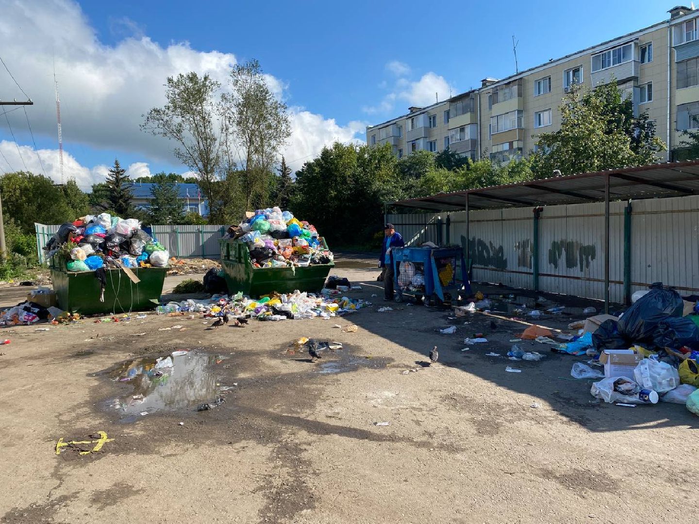 Чехов, ГУСТ, контейнерная площадка, рейд, мусор, серые возчики