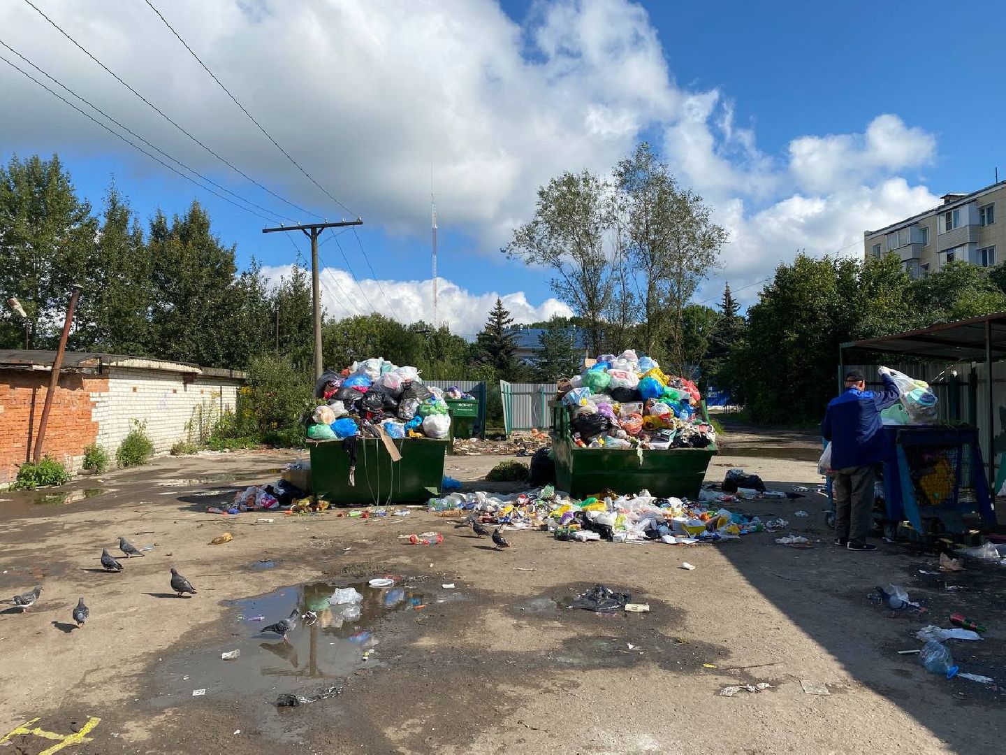 Чехов, ГУСТ, контейнерная площадка, рейд, мусор, серые возчики