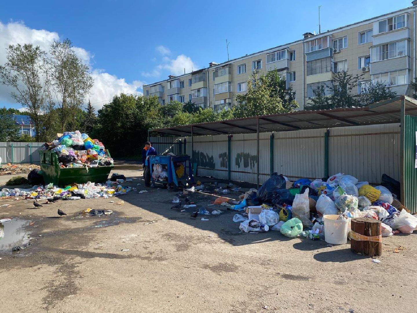 Чехов, ГУСТ, контейнерная площадка, рейд, мусор, серые возчики