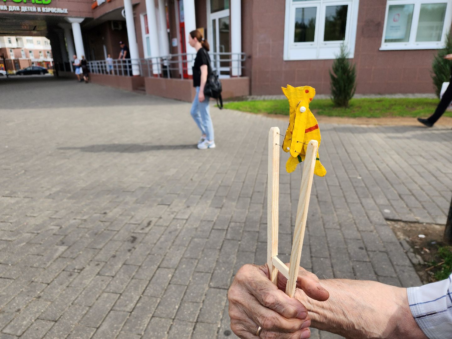 история, игра, пушкино, пенсионеры,