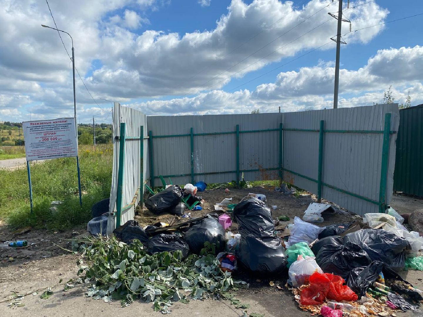 Чехов, ГУСТ, контейнерная площадка, серые возчики, рейд,