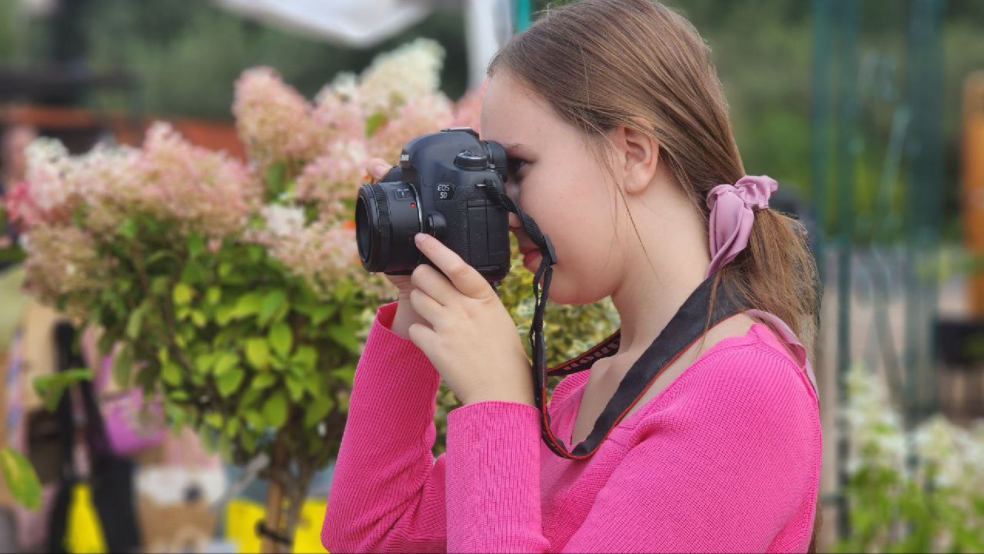 Дмитров, Яблочный спас, Парк Косолапово