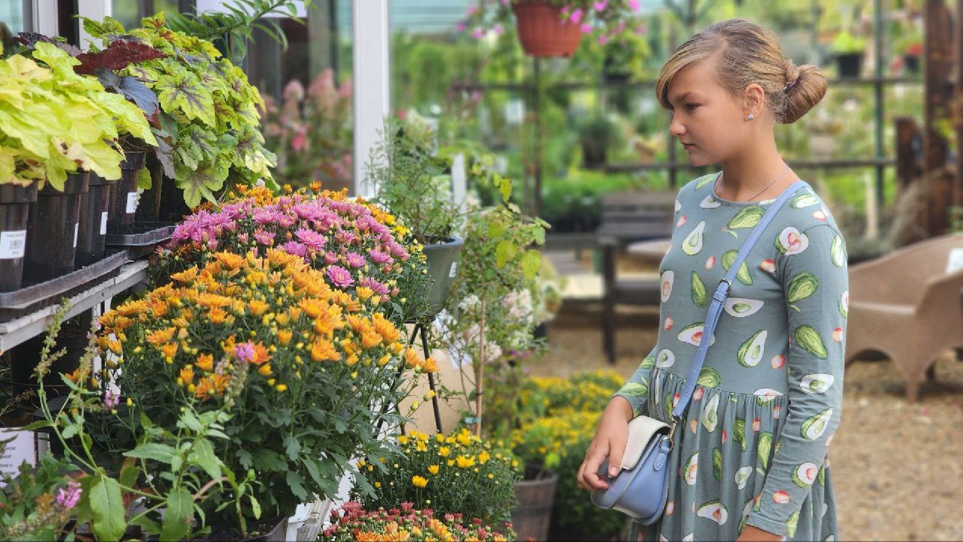 Дмитров, Яблочный спас, Парк Косолапово