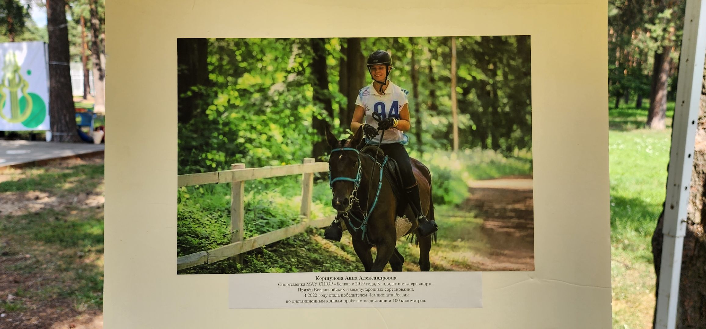 День физкультурника, спортсмены, выставка, Котельники