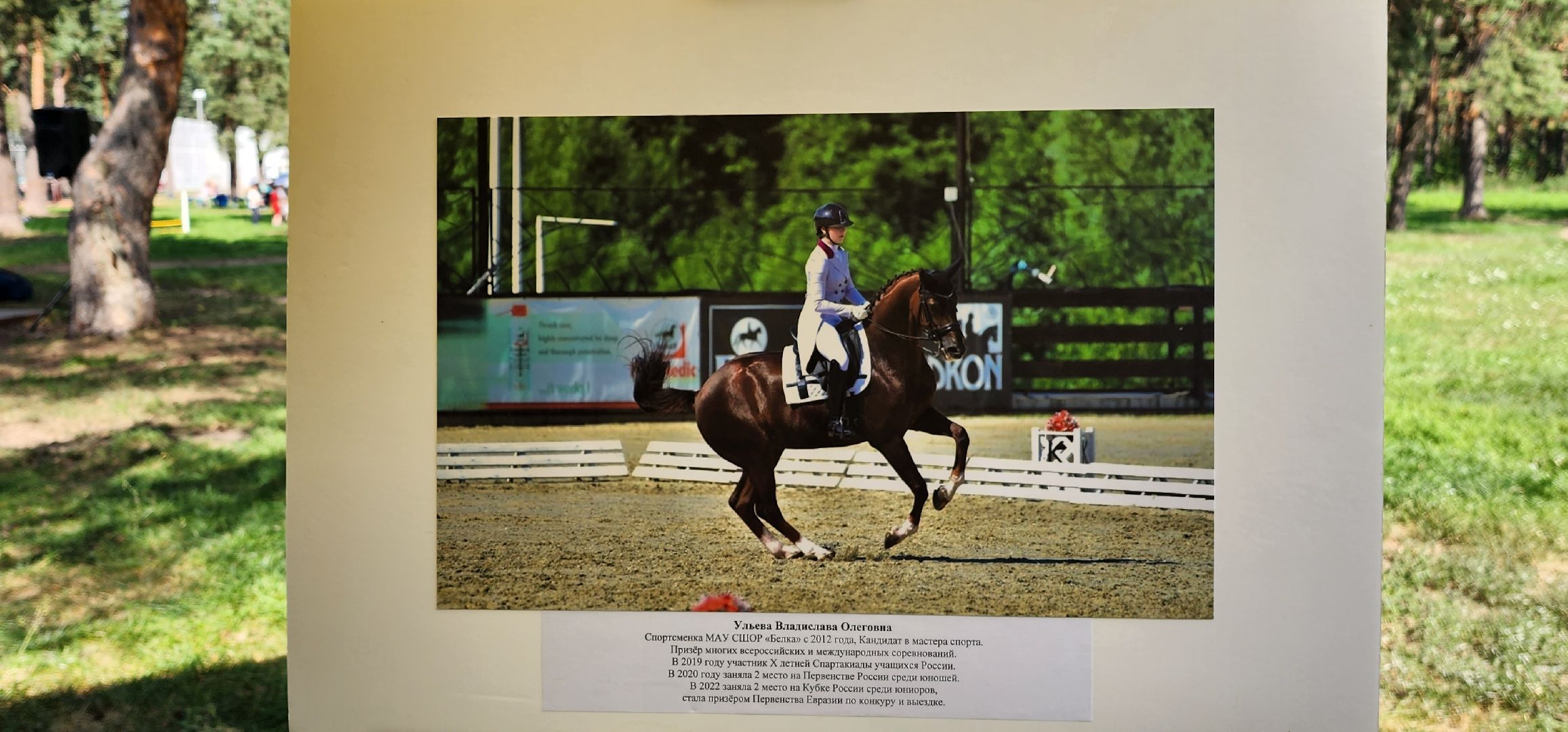 День физкультурника, спортсмены, выставка, Котельники