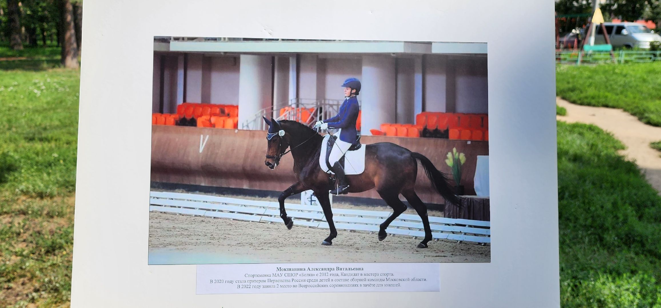 День физкультурника, спортсмены, выставка, Котельники