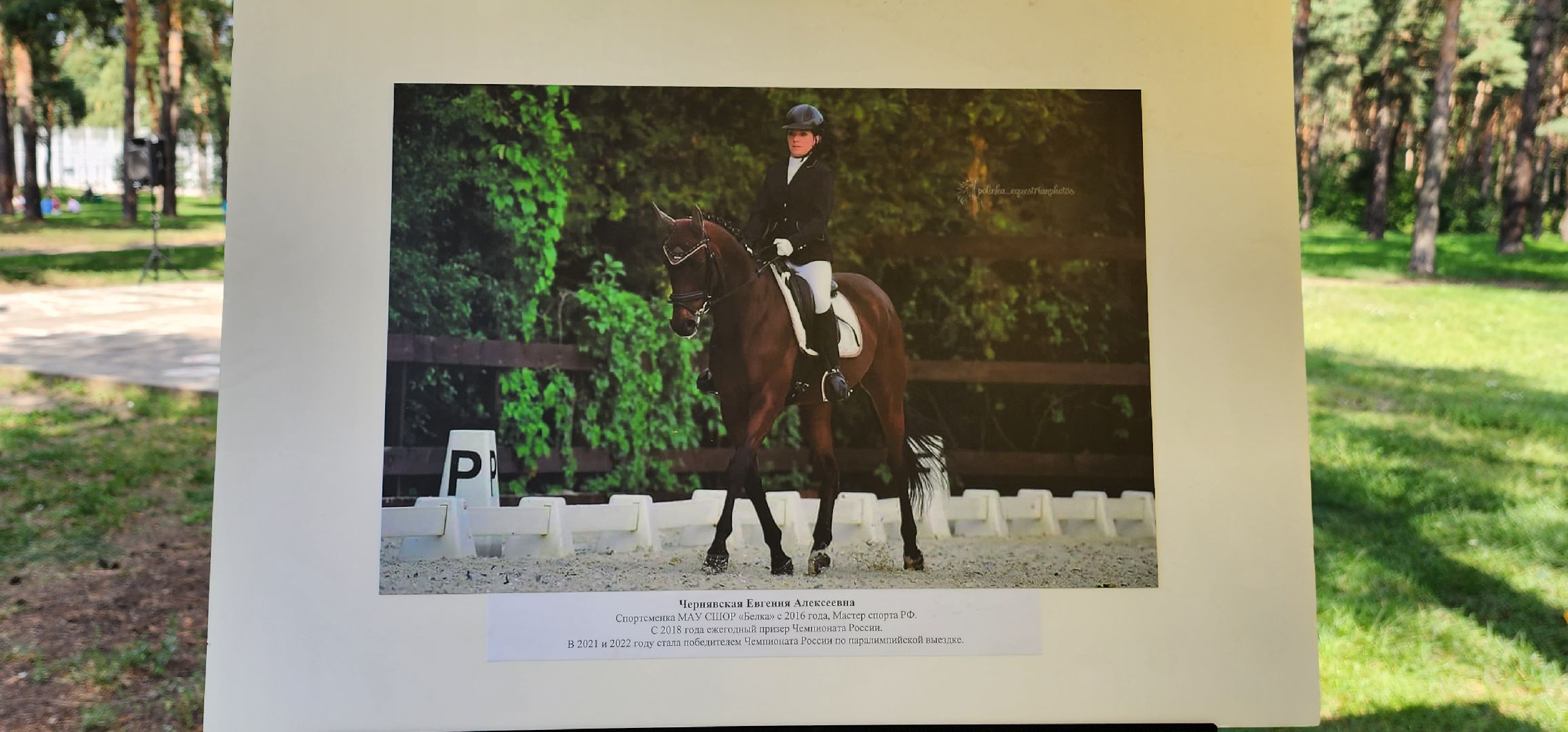 День физкультурника, спортсмены, выставка, Котельники