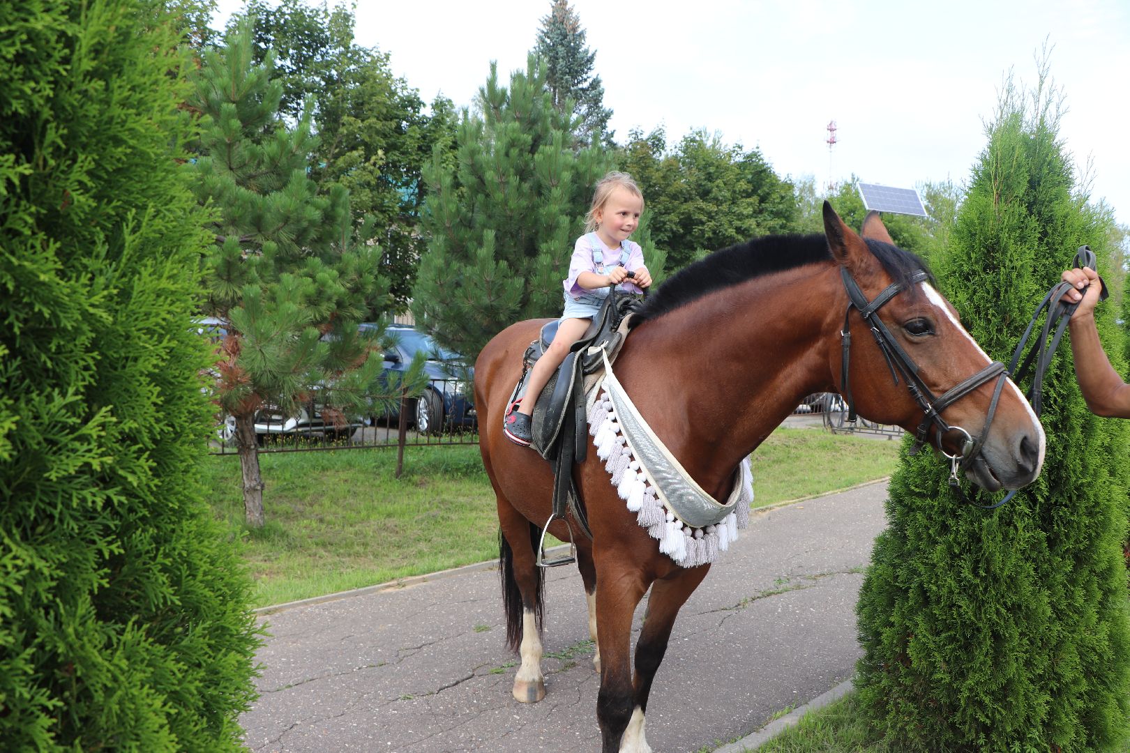 волоколамск, село Спасс