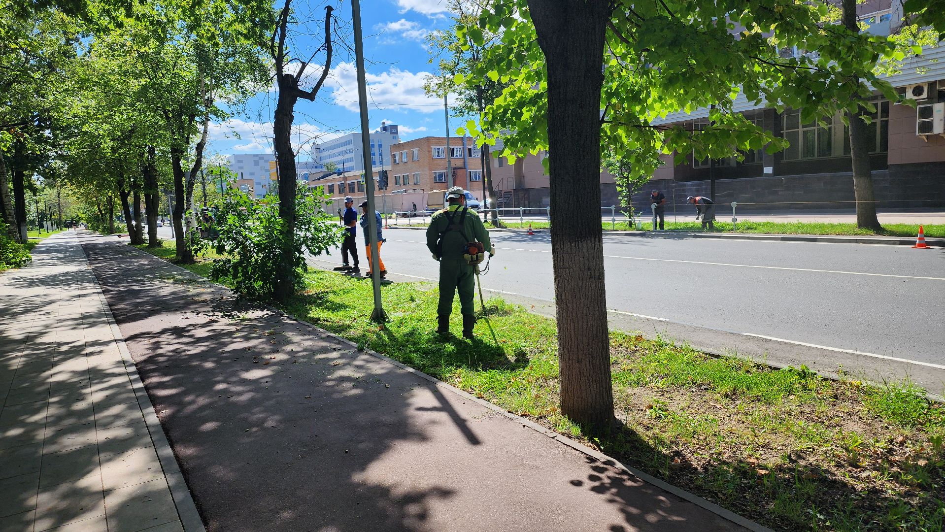 Долгопрудный, благоустройство, МФТИ, Физтех, ограждение, дорога, газон