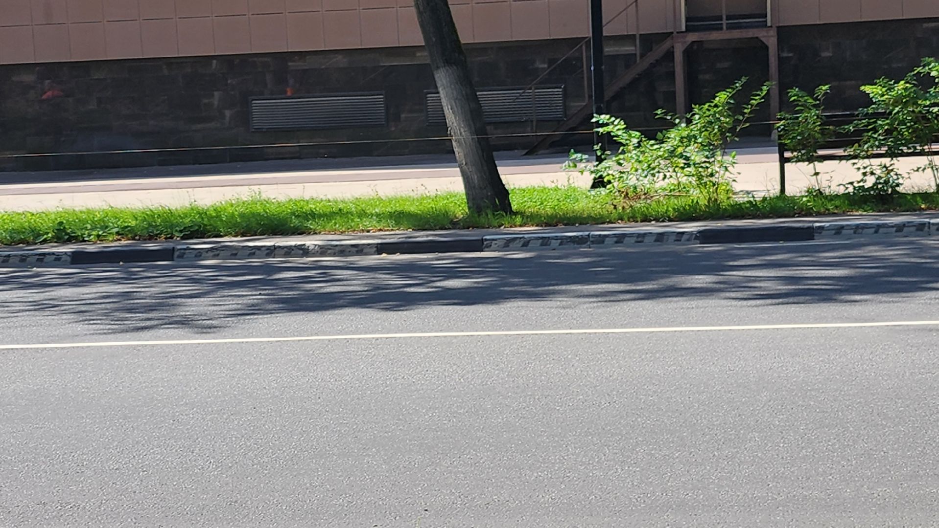 Долгопрудный, благоустройство, МФТИ, Физтех, ограждение, дорога, газон