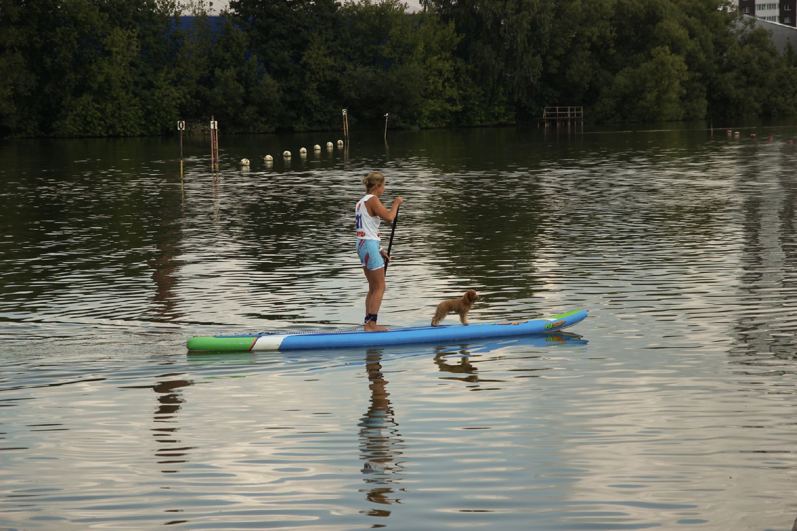 Соревнования, чемпионат, сап-сёрфинг, Старая Купавна, Богородский городской округ